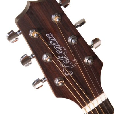 TAKAMINE VIOLAO AÇO GD 20 CE NS FOSCO