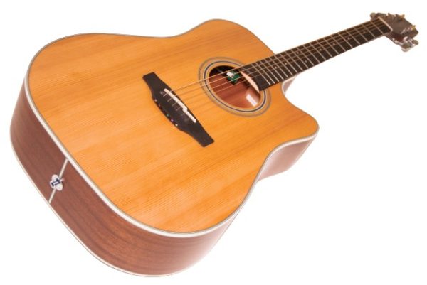 TAKAMINE VIOLAO AÇO GD 20 CE NS FOSCO