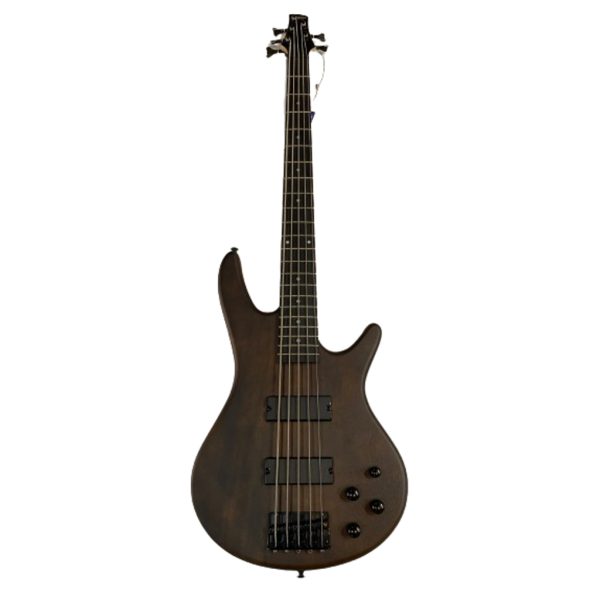 Baixo Ibanez gsr 205b wnf